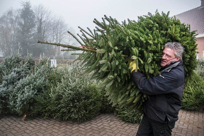 Kerstbomen? Kiwanis Club Almelo verkoopt ze voor het goede doel. Te bestellen vanaf 15 november