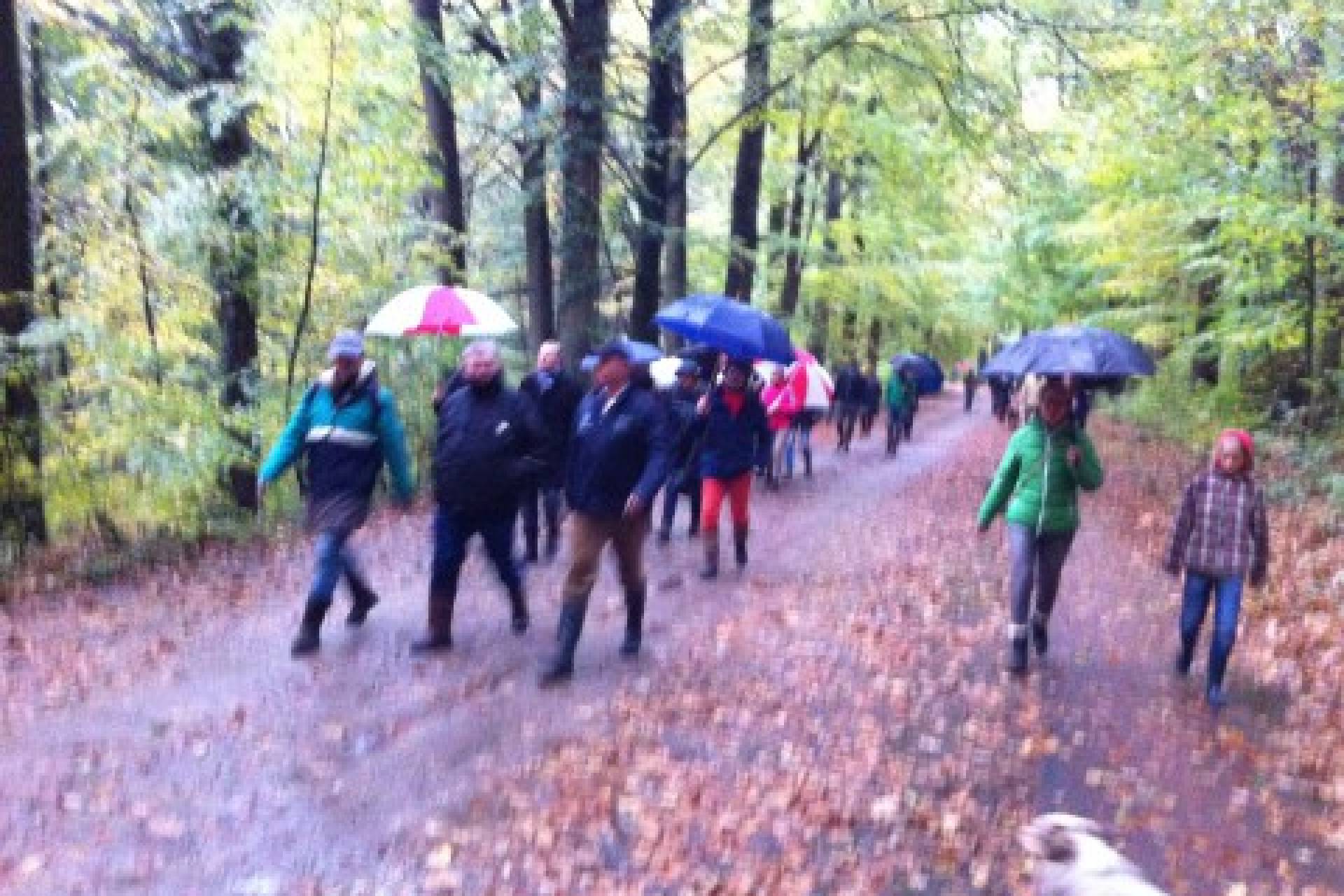 herfstwandeling-2013-groot-succes-104