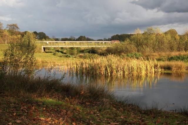 herfstwandeling-2017-1568 - Afbeelding 19 van 44