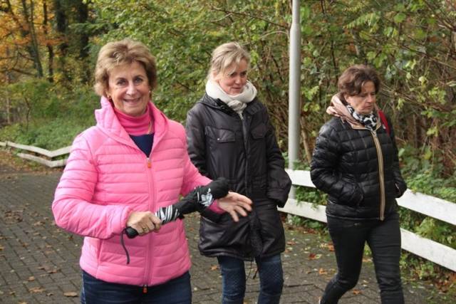 herfstwandeling-2017-1579 - Afbeelding 25 van 44