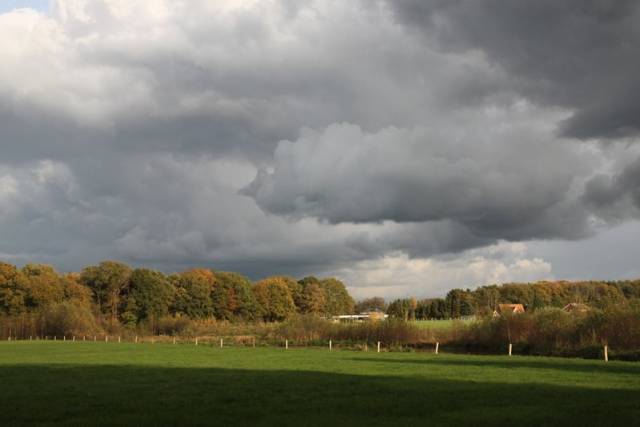herfstwandeling-2017-1580 - Afbeelding 26 van 44