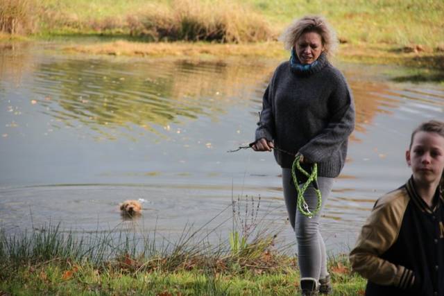 herfstwandeling-2017-1594 - Afbeelding 39 van 44
