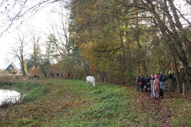herfstwandeling-2017-1595 - Afbeelding 40 van 44
