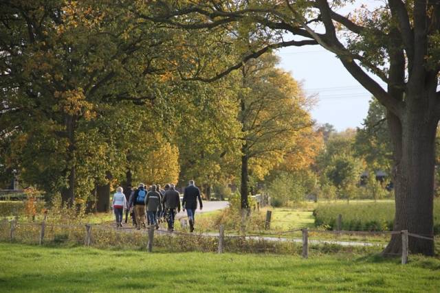 herfstwandeling-2017-1597 - Afbeelding 42 van 44