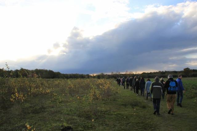 herfstwandeling-2017-1606 - Afbeelding 7 van 44