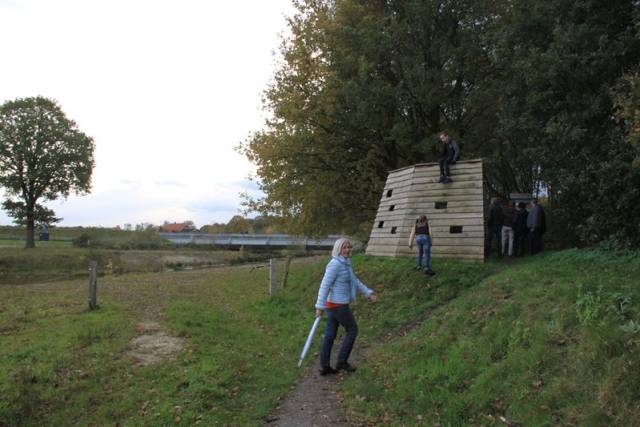 herfstwandeling-2017-1607 - Afbeelding 8 van 44