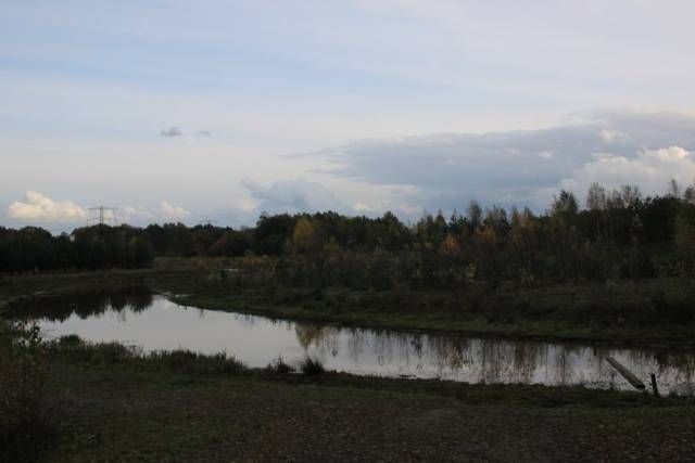 herfstwandeling-2017-1608 - Afbeelding 9 van 44