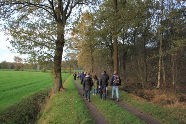 herfstwandeling-2017-1609 - Afbeelding 10 van 44