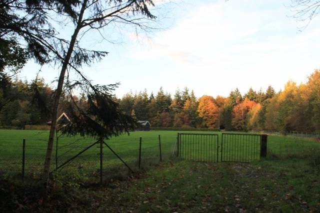 herfstwandeling-2017-1611 - Afbeelding 12 van 44