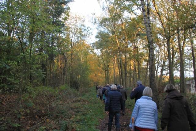 herfstwandeling-2017-1612 - Afbeelding 13 van 44