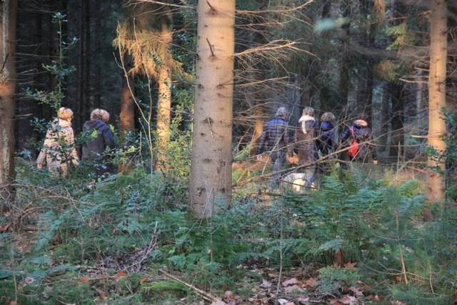 herfstwandeling-2017-1613 - Afbeelding 14 van 44