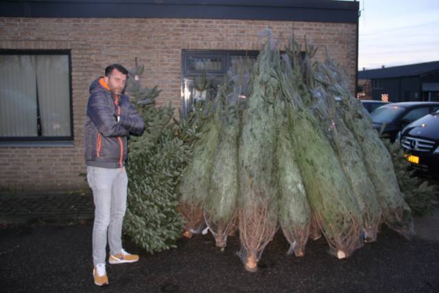kerstbomen-verkopen-563 - Afbeelding 2 van 31