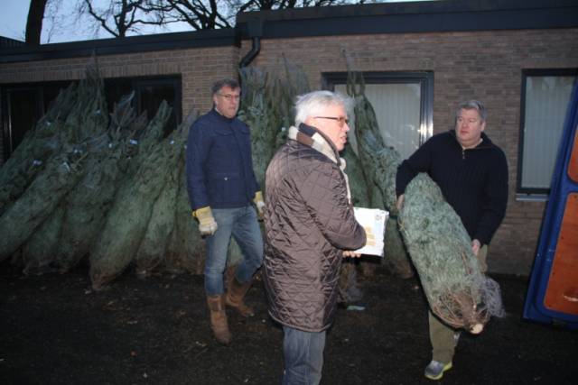 kerstbomen-verkopen-564 - Afbeelding 3 van 31