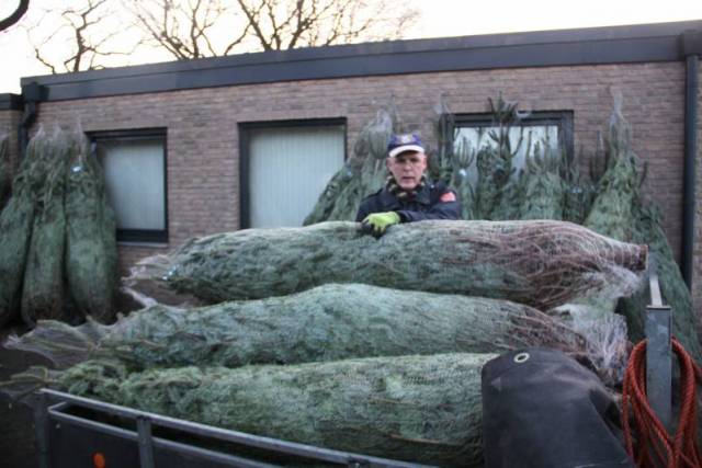 kerstbomen-verkopen-567 - Afbeelding 6 van 31