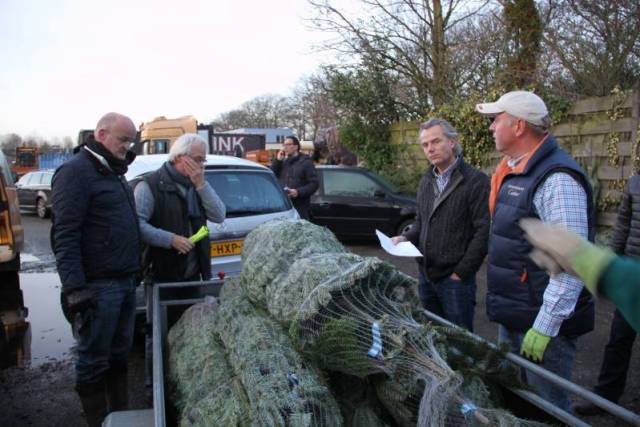 kerstbomen-verkopen-568 - Afbeelding 7 van 31