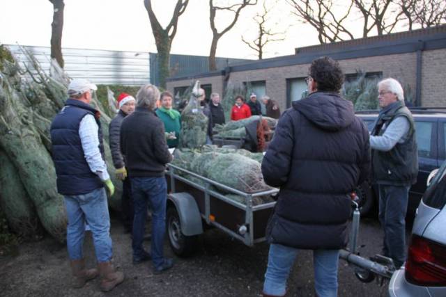 kerstbomen-verkopen-570 - Afbeelding 9 van 31