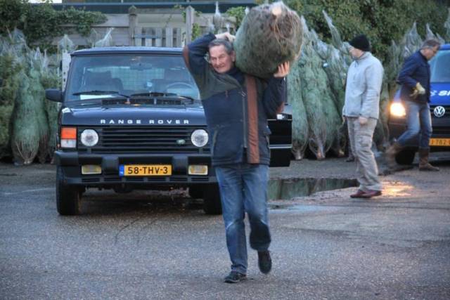 kerstbomen-verkopen-574 - Afbeelding 13 van 31