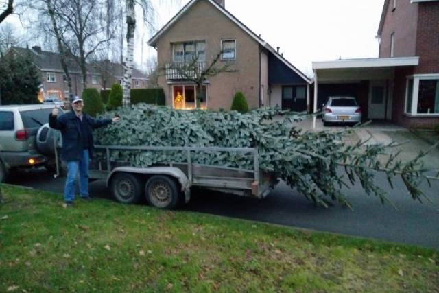 kerstbomen-verkopen-594 - Afbeelding 31 van 31