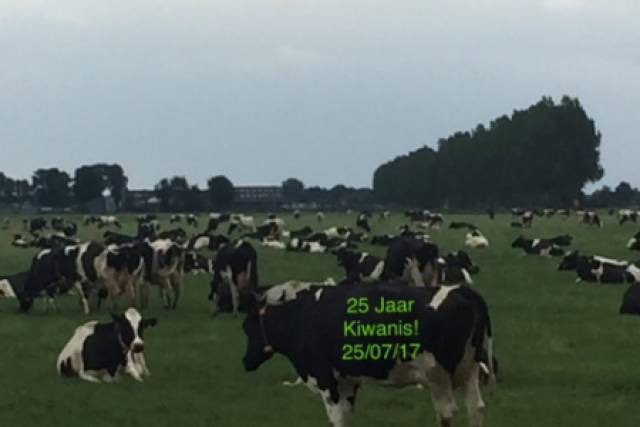 lustrumweekend-wat-een-feest-1267 - Afbeelding 174 van 214