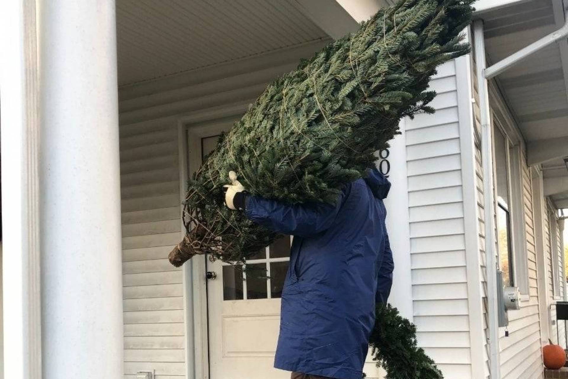 kerstboom-bezorgen