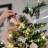 Vers gezaagde Nordmann kerstboom aan huis geleverd voor slechts 35,00 euro! Op zaterdag 2 december wordt bezorgd. Opbrengst voor het goede doel - Kiwanis Kinderfonds